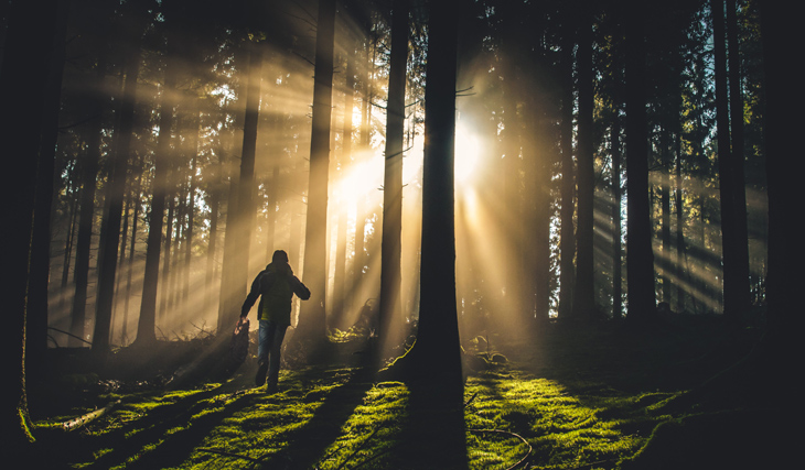 Person running into sunlight cutting through the trees of a dense forest.