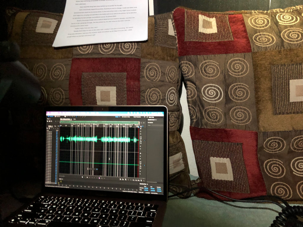 Recording "Calling Out of Time" in the recording tent. I record into Adobe Audition on a MacBook Air.